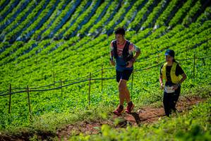 BIB: 13356
                            <button type="button" onclick="openModal(19162000)" class="btn btn-primary btn-sm float-right btn-popup" data-toggle="modal" data-target=".modal-high-quality">
                        <i class="fas fa-shopping-cart"></i> Add to Cart
                    </button>
                                            <button type="button" onclick="isThisMe(19162000, true)" class="btn btn-success btn-sm float-right btn-popup btn-isme hidden" data-toggle="tooltip" data-placement="bottom" title="นี่คือรูปของคุณใช่ไหม คลิกที่นี่เพื่อเอาเข้าอัลบั้ม">
                        <i class="fas fa-plus"></i> Add to album
                    </button>
                    <button type="button" onclick="isThisMe(19162000, false)" class="btn btn-warning btn-sm float-right btn-popup btn-isnotme hidden">
                        <i class="fas fa-ban"></i> Remove from album
                    </button>